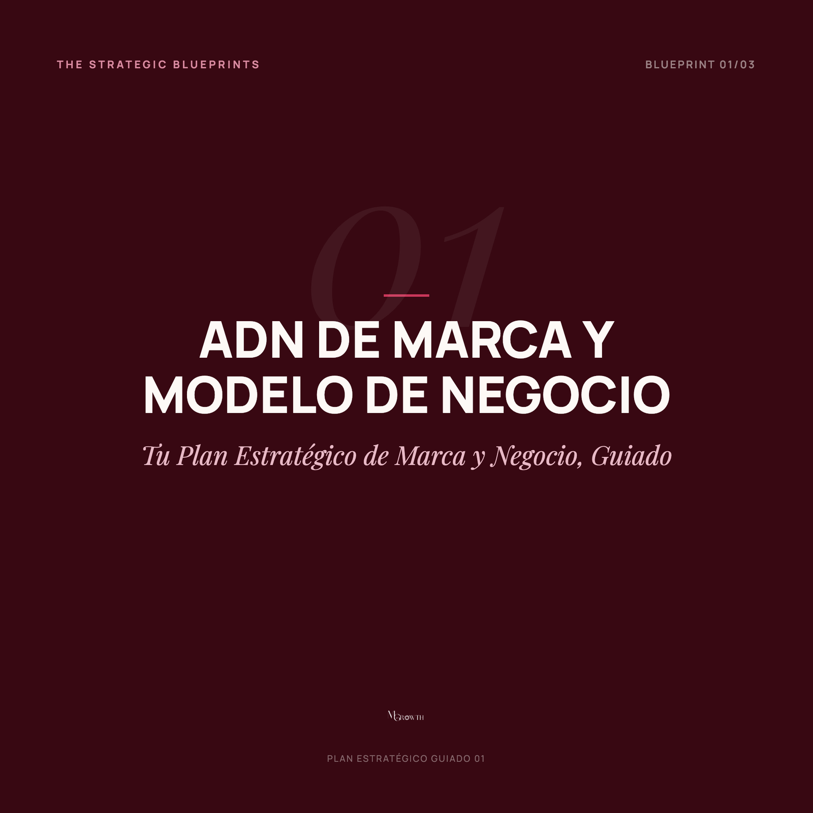 Blueprint 1 · ADN de Marca y Modelo de Negocio